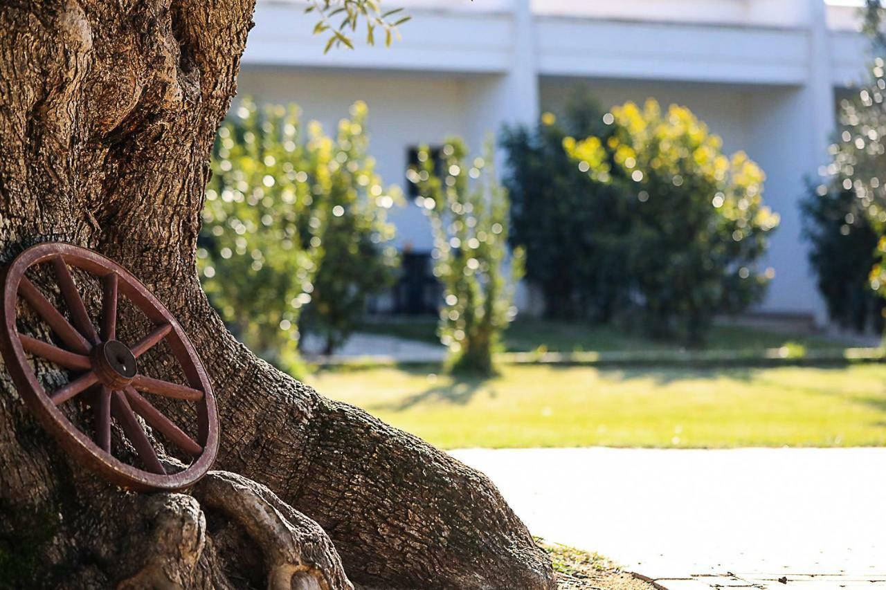 Hotel Eden Carovigno Zewnętrze zdjęcie