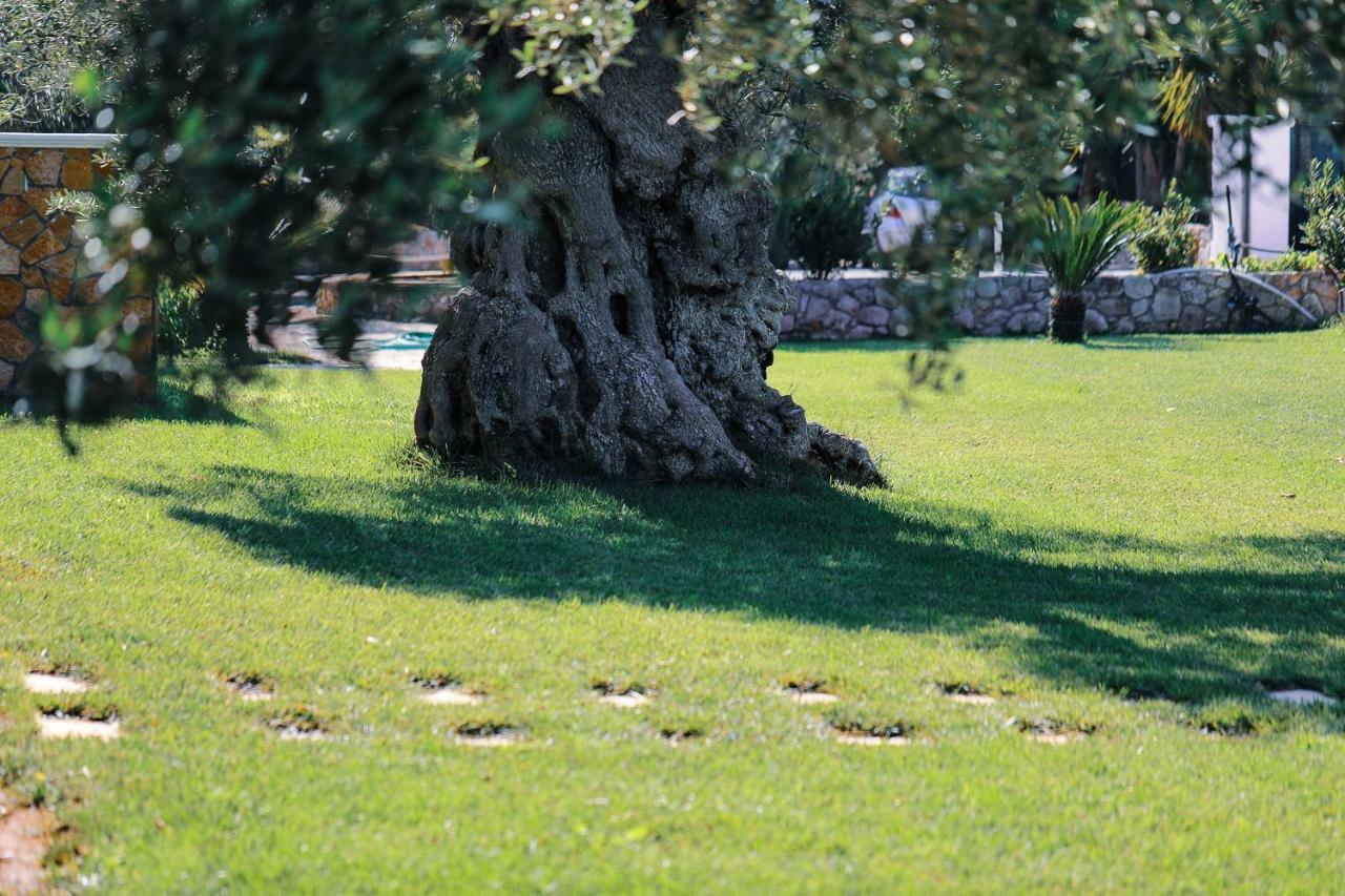 Hotel Eden Carovigno Zewnętrze zdjęcie